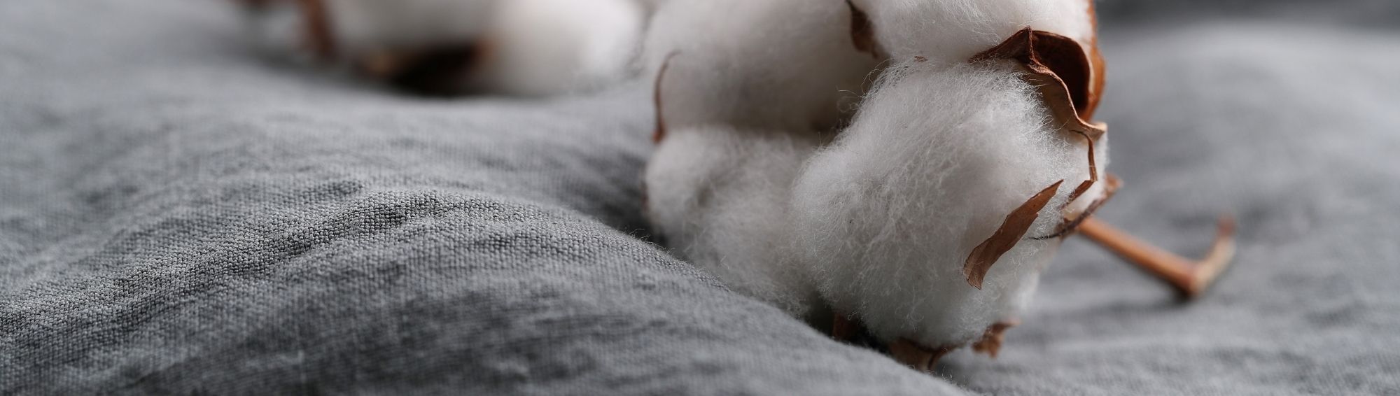 Recycled Cotton
